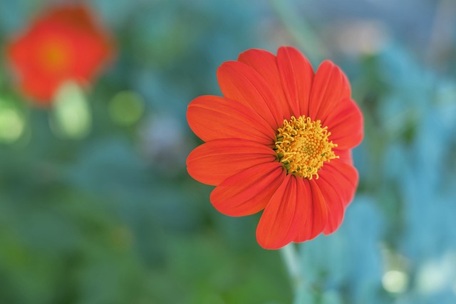 广东大胜后3喜1忧！杜锋终于开窍，王洪泽接班二飞，杜润旺退化