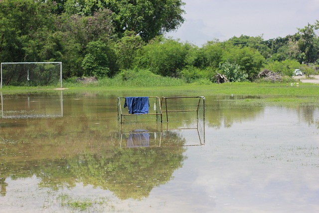布朗本赛季第13次砍下30+，上赛季含季后赛仅10次