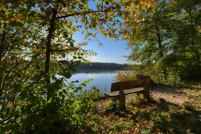 足球的代表 足球的代表