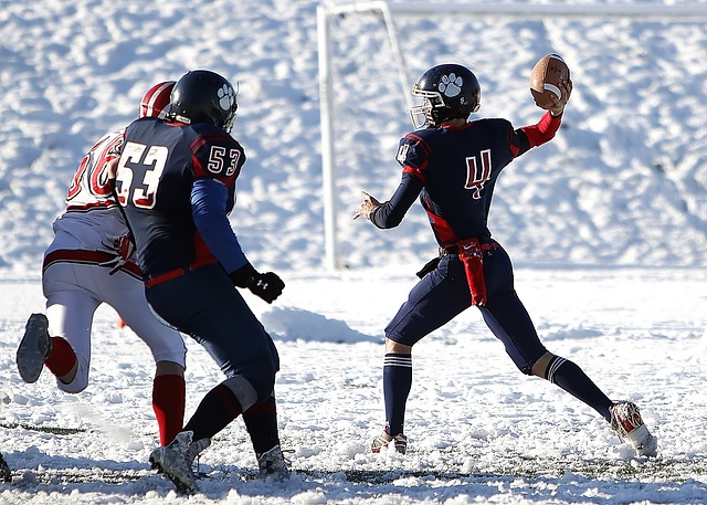 独行侠的顶 独行侠的顶