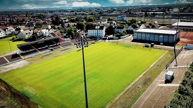 数据分析的 数据分析的