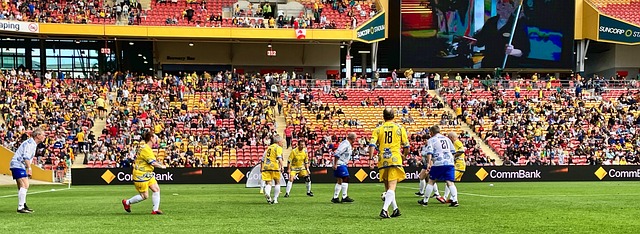 态下退役 态下退役