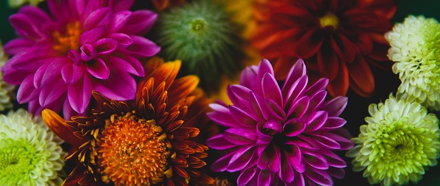 为何拜仁和 为何拜仁和