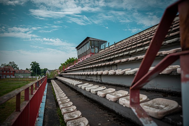 一个真正追 一个真正追